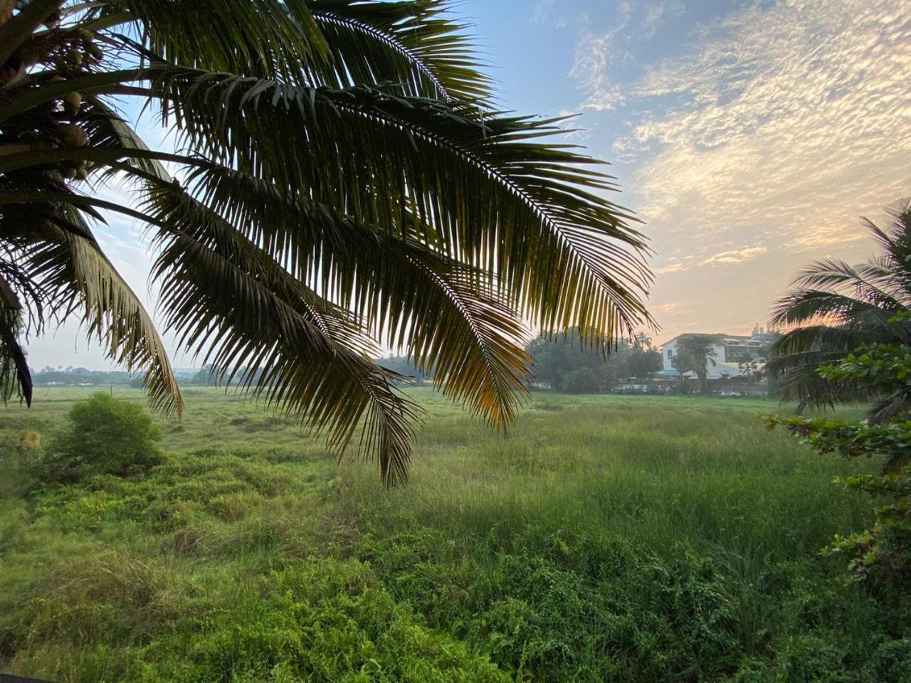 Green Field View Hotell Candolim Exteriör bild
