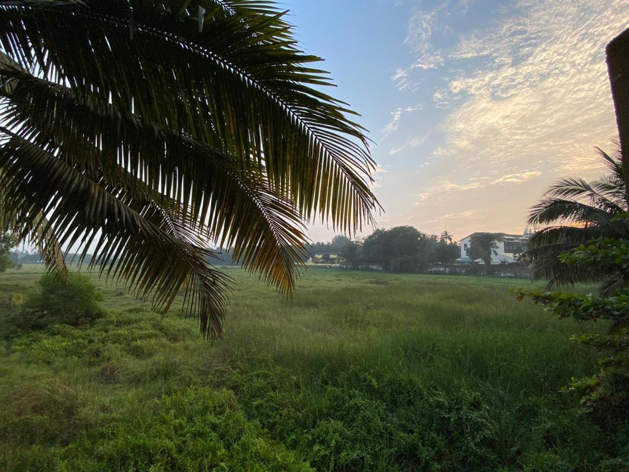 Green Field View Hotell Candolim Exteriör bild